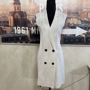 Trouve dress or overcoat
